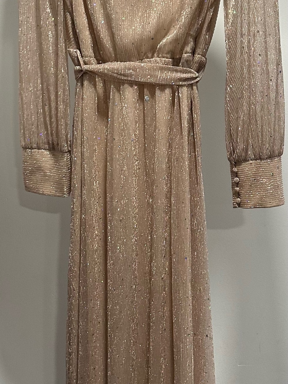 Baltic Born Metallic Champagne Long Sleeve Maxi Dress